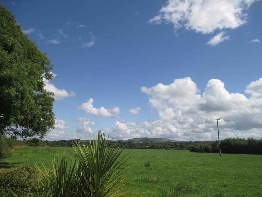 Tralia Farmhouse Self Catering Farranfore Exterior photo